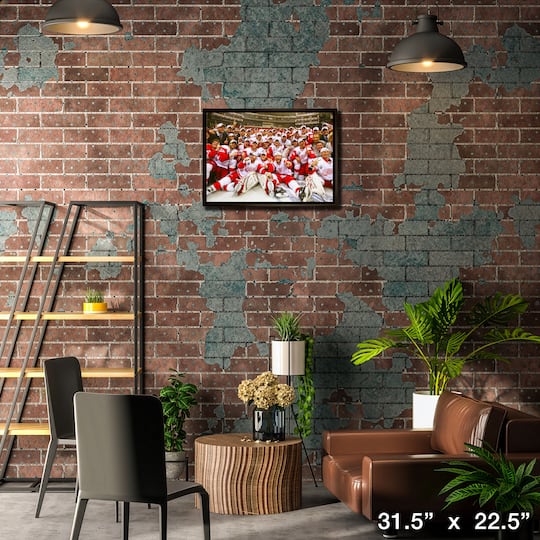 Detroit Red Wings 20" x 29" Framed Canvas 2008 Stanley Cup 31.5" x 22.5"